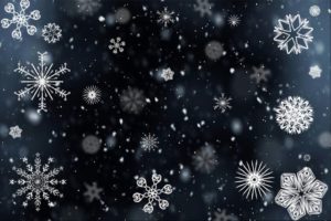 snowflake-554635_1920 (1)